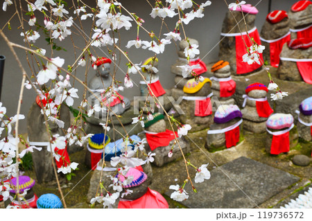 京都 紫雲山頂法寺 六角堂のお地蔵さんと枝垂れ桜(京都市中京区) 京都 紫雲山頂法寺 六角堂のお地蔵さんと枝垂れ桜(京都市中京区) 119736572