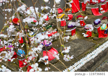 京都　紫雲山頂法寺　六角堂　お地蔵さんと枝垂れ桜と鳩みくじ（京都市中京区） 119736601