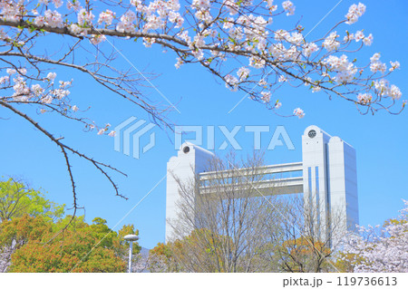春の愛知県名古屋市、満開の桜と名古屋国際会議場の風景 119736613