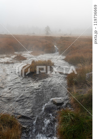 A steamy running hot spring on a foggy morning near Grand Prismatic Spring. 119736669