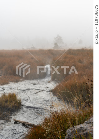 A steamy running hot spring on a foggy morning near Grand Prismatic Spring. A steamy running hot spring on a foggy morning near Grand Prismatic Spring. 119736675