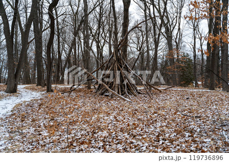Dormant and dead trees with snow in a forest during a cold Minnesota winter. Dormant and dead trees with snow in a forest during a cold Minnesota winter. 119736896