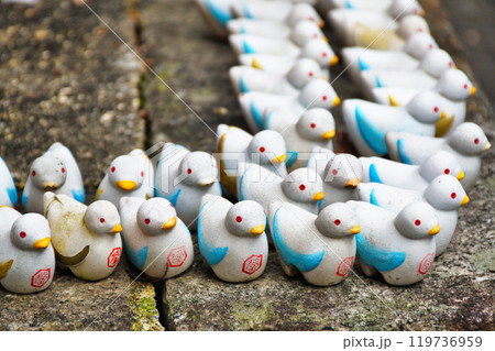 京都　紫雲山頂法寺　六角堂の鳩みくじ（京都市中京区） 119736959