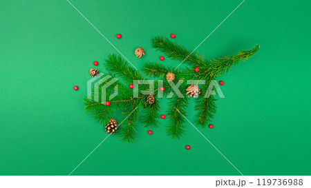 Tree branch with cones and mountain ash. New Year and Christmas content green background isolated 119736988