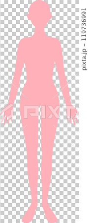 Woman's full body silhouette 119736991