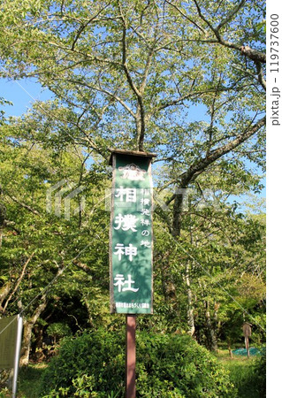 相撲神社 119737600