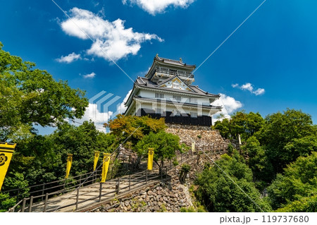 青空に映える岐阜城 119737680