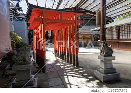 石切劔箭神社/穂積神霊社の赤鳥居(2024年9月撮影) 石切劔箭神社/穂積神霊社の赤鳥居(2024年9月撮影) 119737842
