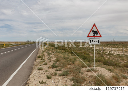 Traffic sign on a road in the middle of the steppe. Cattle drive sign. Cattle Warning Sign. Kazakhstan 119737915