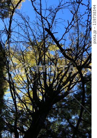 広島　佛通寺 119738344