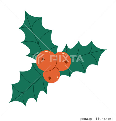 Christmas holly green leaves and red berries. Flat vector isolated illustration 119738461