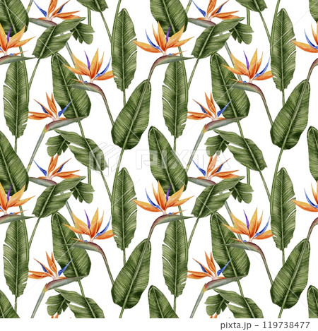 Tropical flowers strelitzia and leaves palm seamless pattern on white background. Watercolor illustration for textile, fabric, wallpaper, card, packaging, party. 119738477