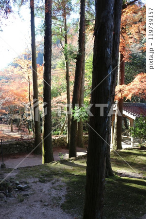 広島 佛通寺 広島 佛通寺 119739157