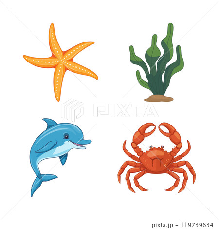 Dolphin, starfish, crab, and seaweed. Isolated on white background 119739634