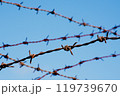 有刺鉄線 119739670