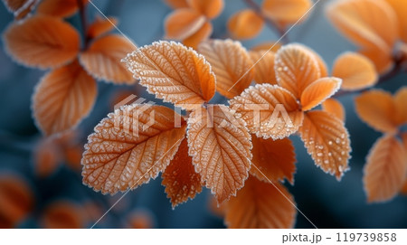 Winter season concept. 119739858