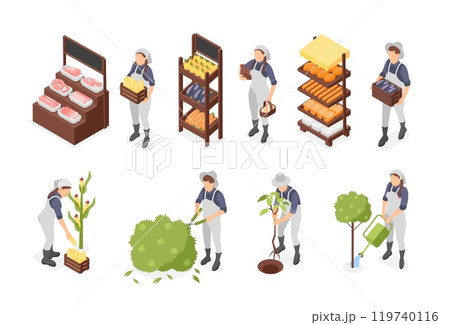 Isometric farm market. Fresh agriculture products on stalls, meat vegetables bakery. Farmers planting, watering and collect harvest, flawless vector set 119740116