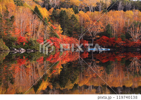 紅葉の白駒池 紅葉の白駒池 119740138