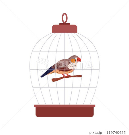 Cartoon Amadina bird sits on the twig in bird cage, vector decorative exotic pet Australian Gouldian Finch on a branch 119740425