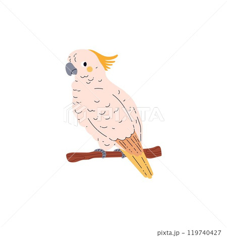 Vector illustration of a cockatoo parrot sitting on a perch on an isolated white background. Vector illustration of a cockatoo parrot sitting on a perch on an isolated white background. 119740427