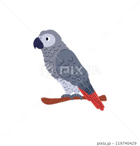 Vector illustration with a tropical grey parrot sitting on a branch on a white background. 119740429