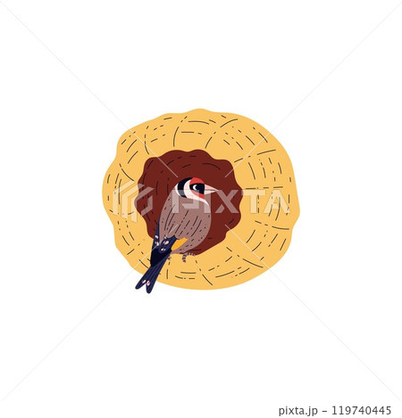 Cartoon Goldfinch bird sits in the nest cocoon, vector decorative Gouldian Finch with colorful plumage parrot exotic pet 119740445