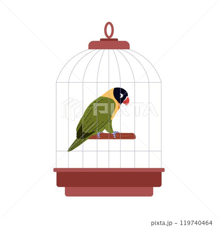 Vector illustration of a lovebird parrot in a cage, isolated on a white background 119740464