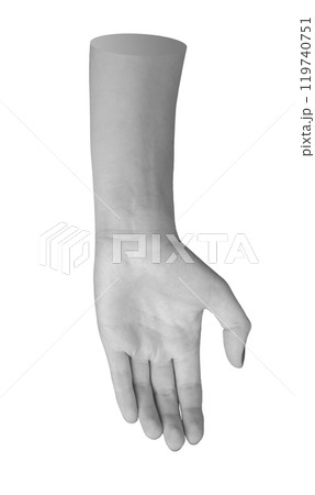 Outstretched left hand and arm, palm facing front in grayscale. Fingers in a gesture of 119740751
