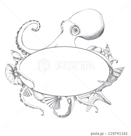 Octopus with shells in oval frame, hand drawn pencil sketch. Isolated illustration in realistic style for fish restaurant design, menu, textile, printed matter 119741182