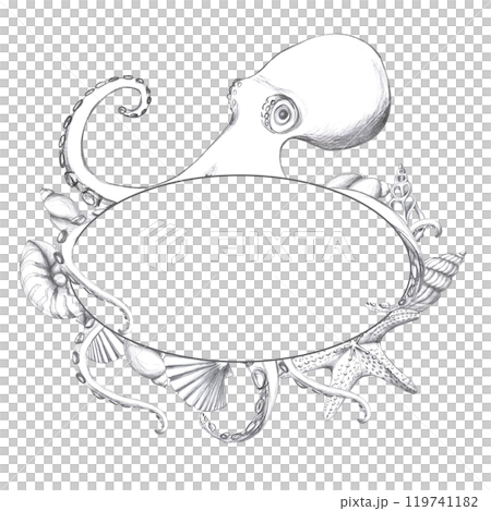 Octopus with shells in oval frame, hand drawn pencil sketch. Isolated illustration in realistic style for fish restaurant design, menu, textile, printed matter Octopus with shells in oval frame, hand drawn pencil sketch. Isolated illustration in realistic style for fish restaurant design, menu, textile, printed matter 119741182