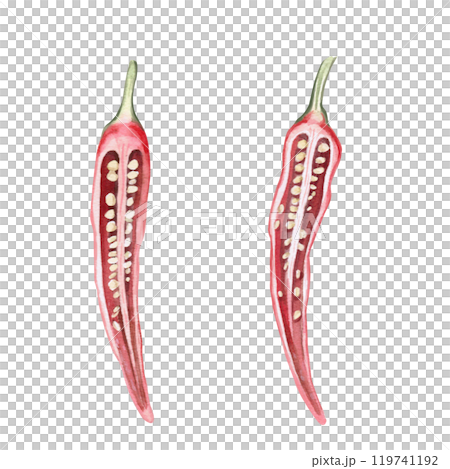 Red pepper cut with seeds. Isolated watercolor illustration for spice packaging design, cookbook, fabric printing, restaurant print design, tableware and kitchenware Red pepper cut with seeds. Isolated watercolor illustration for spice packaging design, cookbook, fabric printing, restaurant print design, tableware and kitchenware 119741192