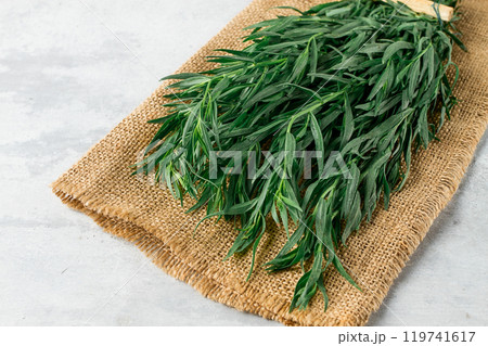 Fresh Tarragon , bunch, top view, close-up, no people, Fresh Tarragon , bunch, top view, close-up, no people, 119741617