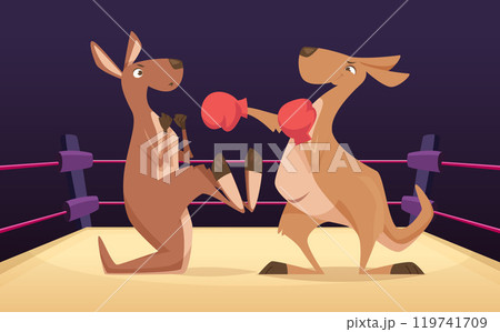 kangaroo boxing. authentic australian animal kangaroo fights on sport arena 119741709