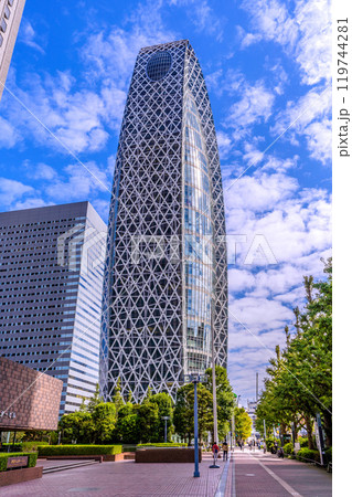 日本の東京都市景観 新宿。東京モード学園コクーンタワーなどを望む(奥は新宿駅方向))=10月21日 日本の東京都市景観 新宿。東京モード学園コクーンタワーなどを望む(奥は新宿駅方向))=10月21日 119744281