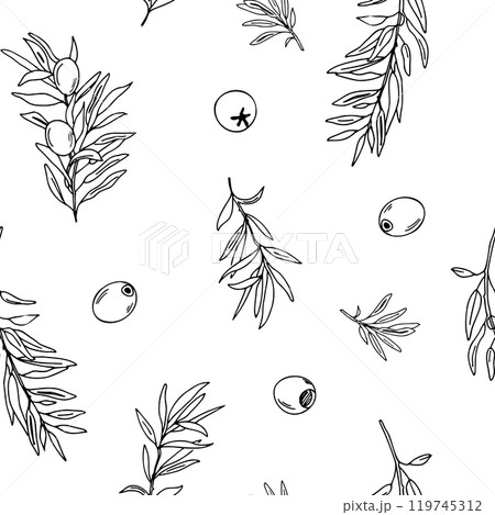 Graphic seamless pattern with branches of olives on a white background. Hand drawn Vector Black and white illustration. Can be used for textile, wallpaper prints and packaging. 119745312