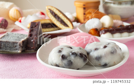 和菓子いろいろ 甘味 おやつ 和菓子いろいろ 甘味 おやつ 119745332
