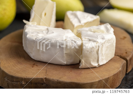 soft processed cheese with edible white mold 119745763
