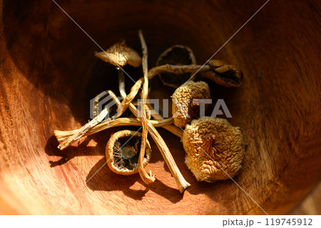 Dried hallucinogenic magic mushrooms 119745912