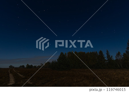 Starry night sky over a quiet rural field and forest path. The clear sky and serene countryside offer a peaceful and calm atmosphere, perfect for stargazing and nature photography in the wilderness 119746015