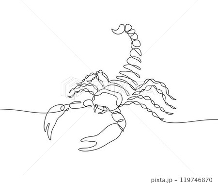 Continuous line drawing of scorpion. Minimalist black linear sketch isolated on white background. Hand drawn vector illustration. 119746870