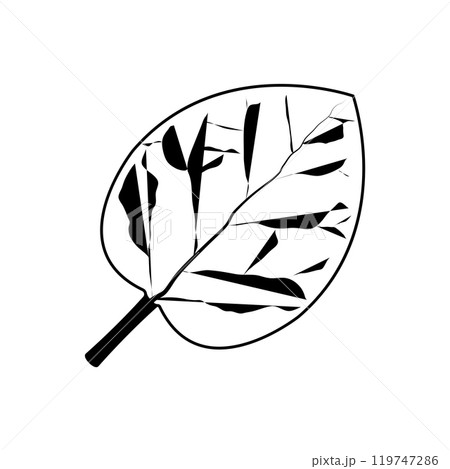 Leaf Logo Leaf Logo 119747286