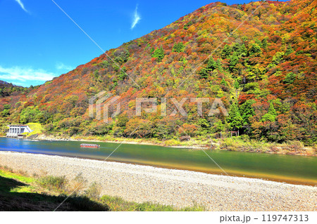 紅葉の中を進む最上川舟下り 紅葉の中を進む最上川舟下り 119747313