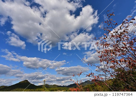 秋の有馬富士 119747364