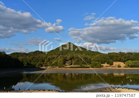 秋の有馬富士 秋の有馬富士 119747587