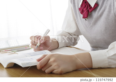 勉強に取り組む女子高生(顔無し) 勉強に取り組む女子高生(顔無し) 119747992