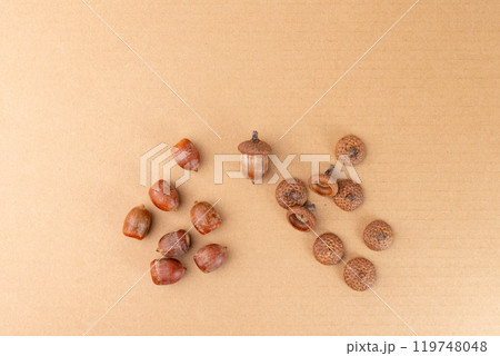 Acorns and caps arranged on cardboard, DIY nature craft project, autumn decoration. step in creative process, step by step instruction, nature material, top down view, 119748048