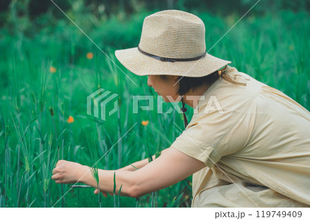 麦を摘む 麦を摘む 119749409