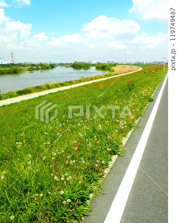 サイクリング道路のある土手から見る春の江戸川風景 119749487
