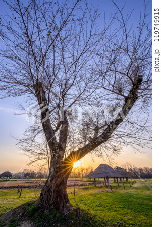 大湯環状列石の夕景 大湯環状列石の夕景 119749915