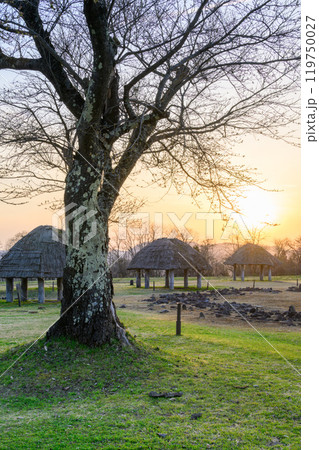 縄文世界遺産大湯環状列石の夕景 119750027